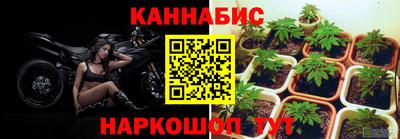 ПСИЛОЦИБИНОВЫЕ ГРИБЫ Можайск