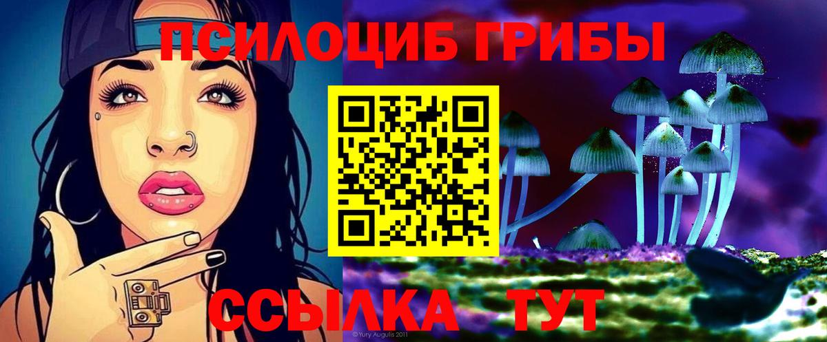 Ставрополь  Галлюциногенные грибы ЛСД  Вход с VPN 