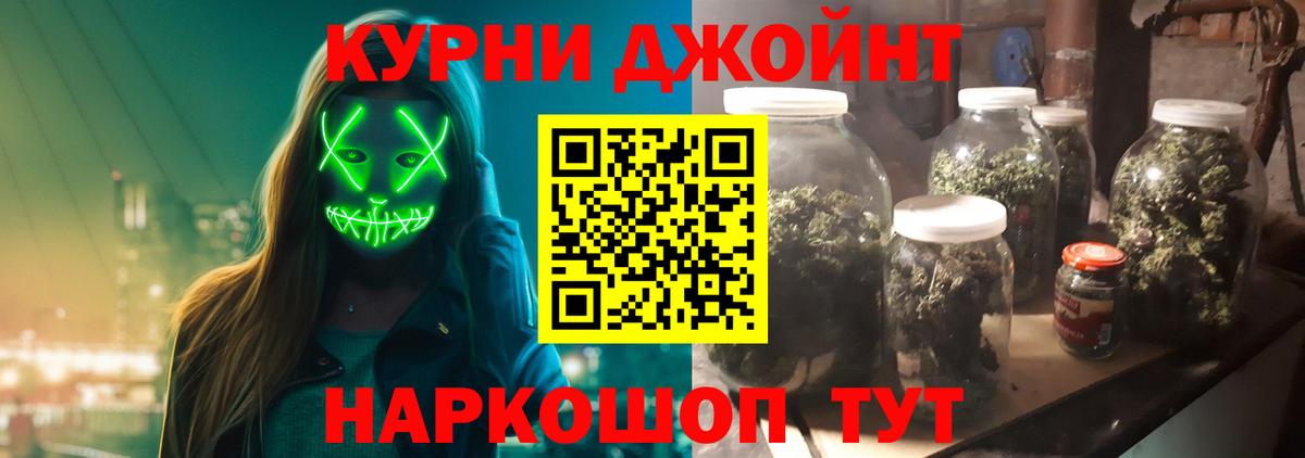 Бошки Шишки планчик Ставрополь
